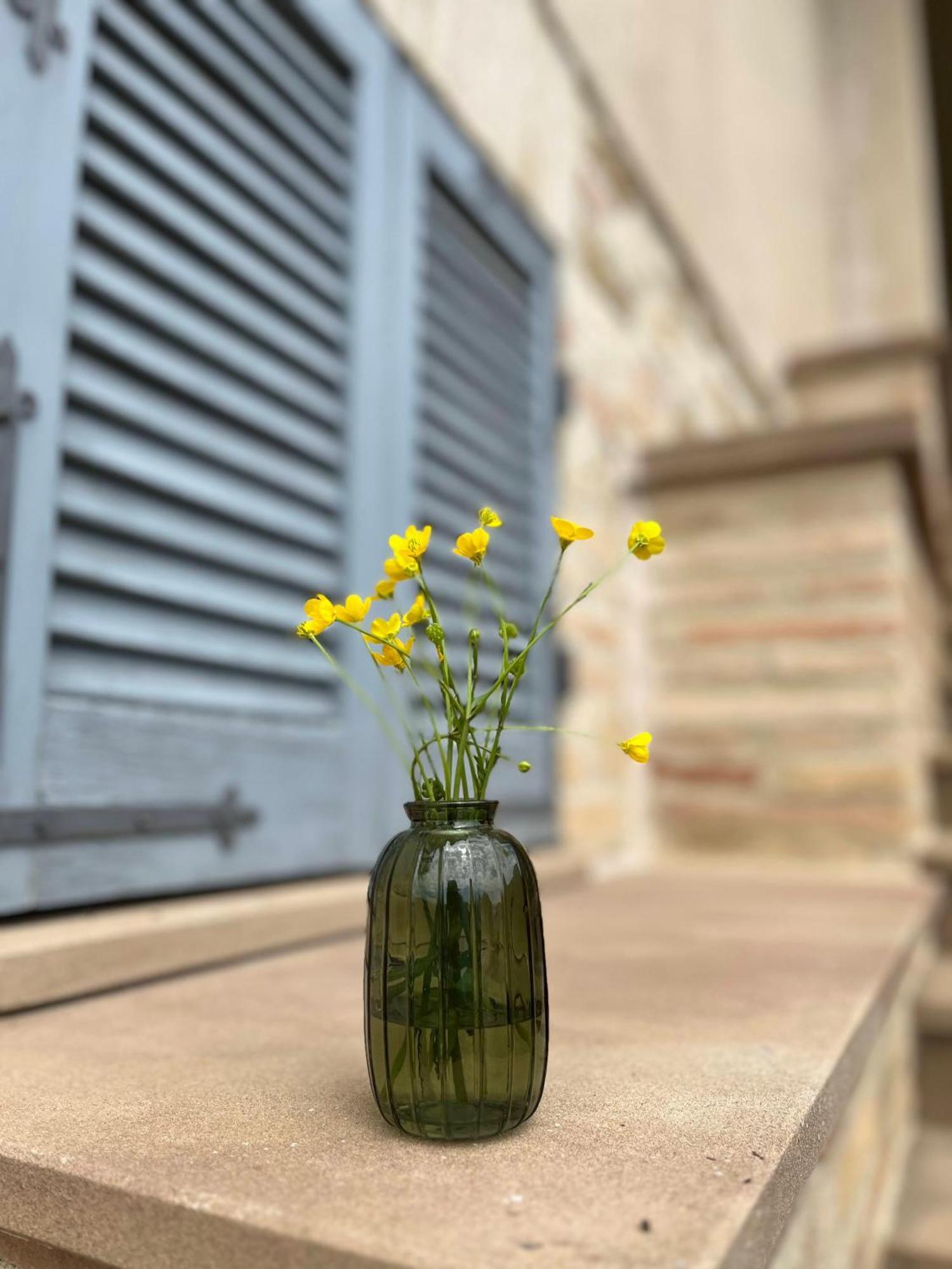 Agriturismo Qui E Ora 베바냐 외부 사진
